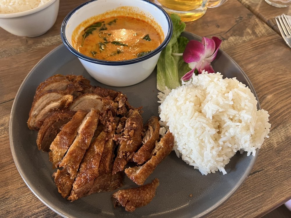 curry-with-duck-and-rice